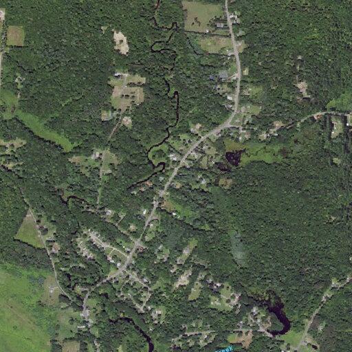 Vehicle hits deer on Tannery Road, blocking traffic