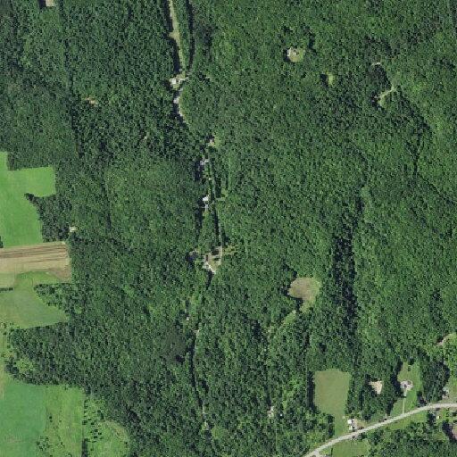 Trees and low wires block Dan Davis Road