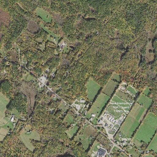 92-year-old female fell, has multiple pains