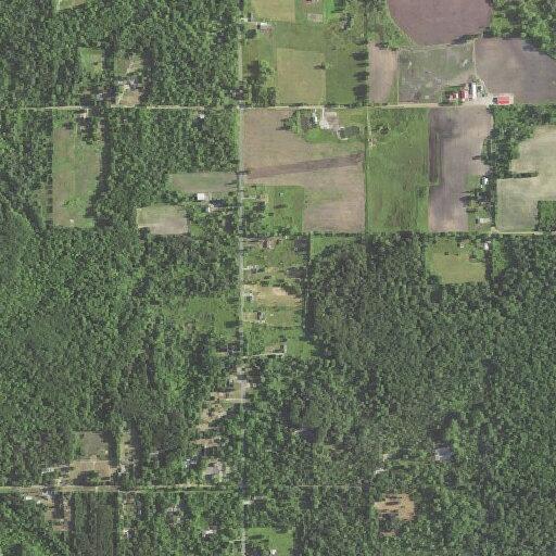 51-year-old male with fall and weakness at Myers Lake Ave NE