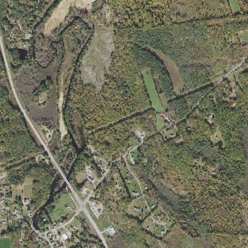 Report of missing German Shepherd near Plateau Ridge