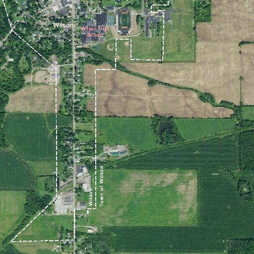 Car and deer collision on Niagara State Parkway