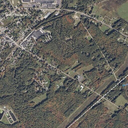 Man damages vehicle and flees toward nearby woods