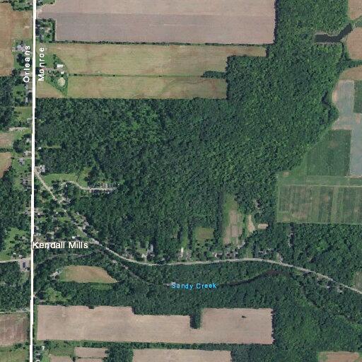 Physical dispute between siblings at Locust Grove home