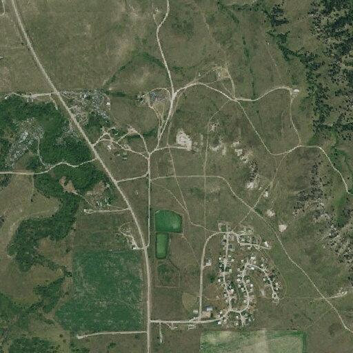 Child bitten in face by multiple dogs near Evergreen Rd
