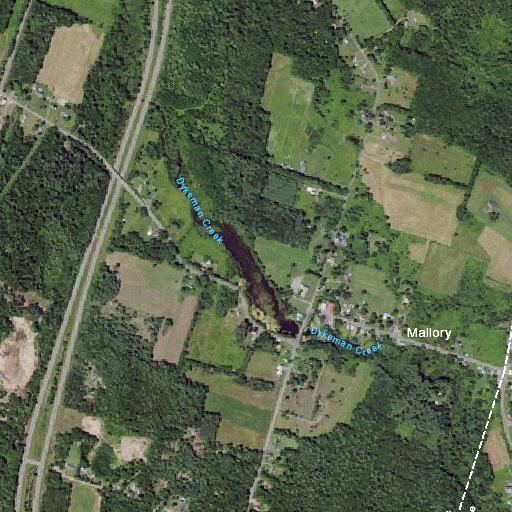 Elderly woman needs help getting up at County Route 32