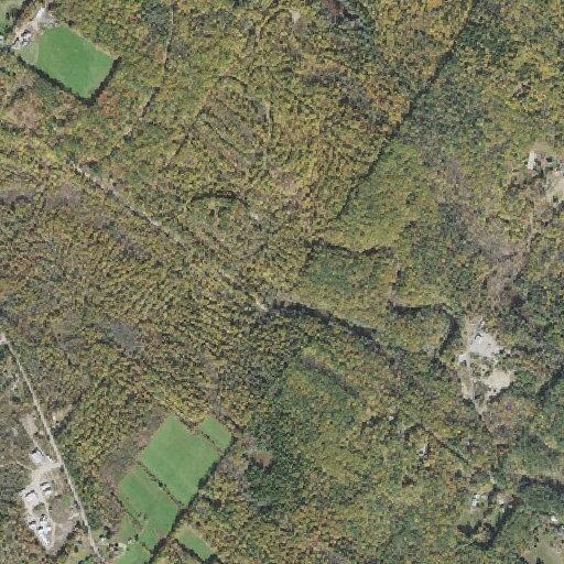 Vehicle hits deer on Suncook Valley Road