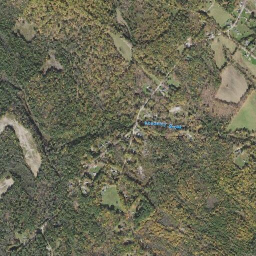 Person experiencing chest pain near Loudon