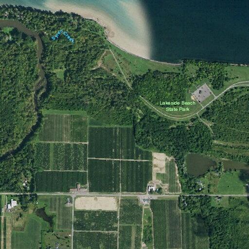 83-year-old female fell and is confused at fruit farm
