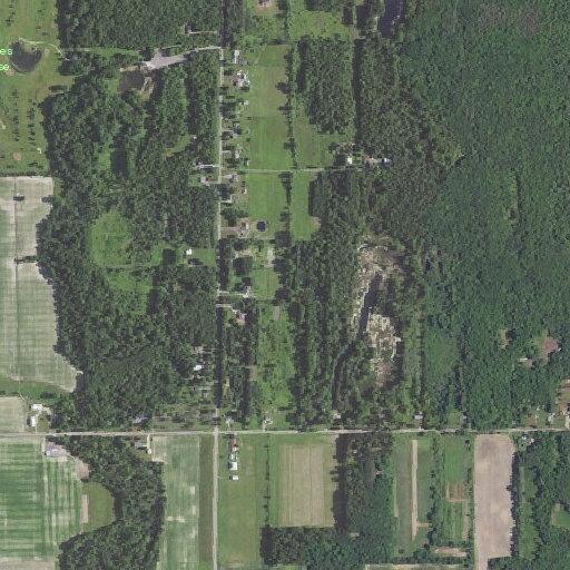Domestic assault reported on Roosevelt Road