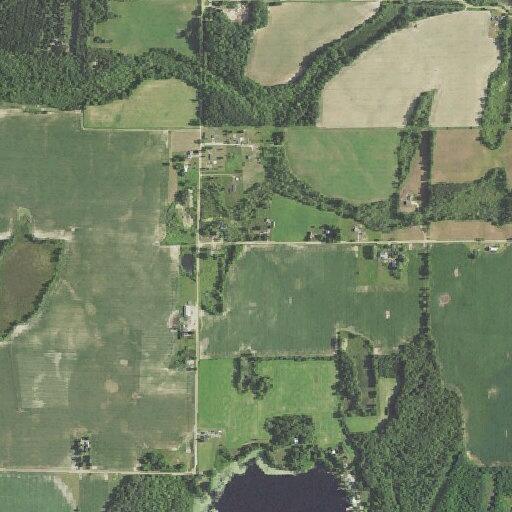 81-year-old woman unconscious but breathing in Coral MI