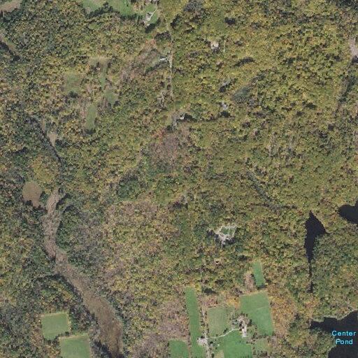 Patient with psychiatric issue runs into woods and returns