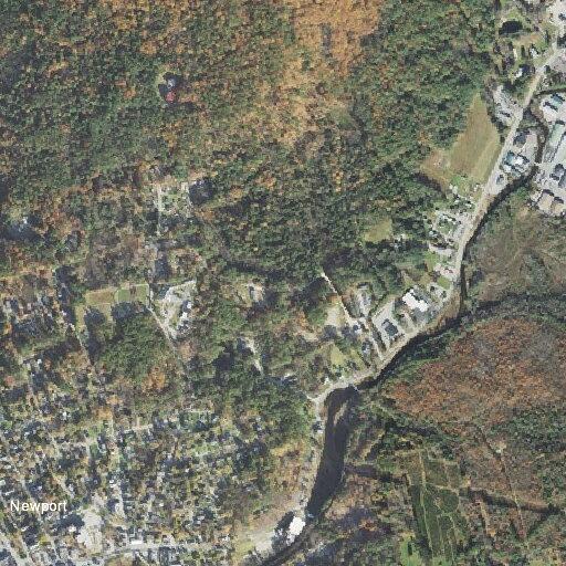84-year-old woman with Parkinson's fell near Newport