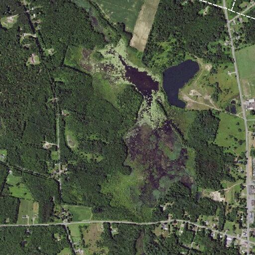 Winkle Road closed for culvert repair