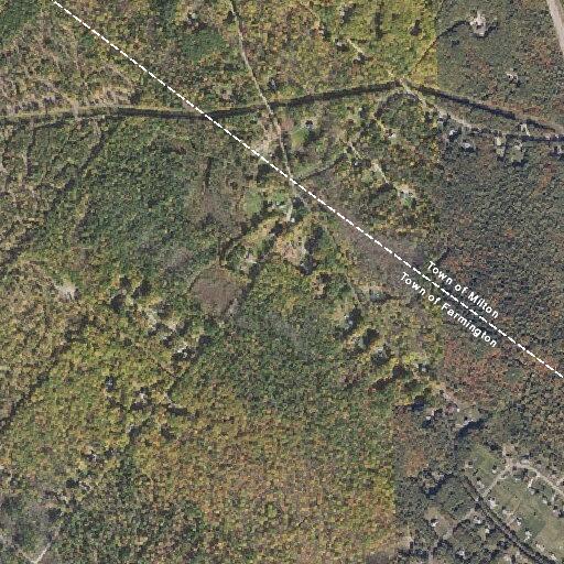 Suspicious phone call from woods behind home