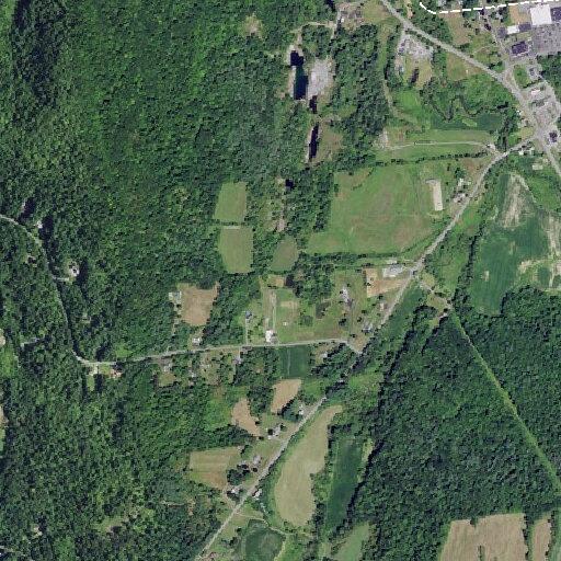 65-year-old man with leg pain and dizziness in Granville
