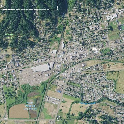 Person requires help lifting near Raintree Avenue in Sutherlin