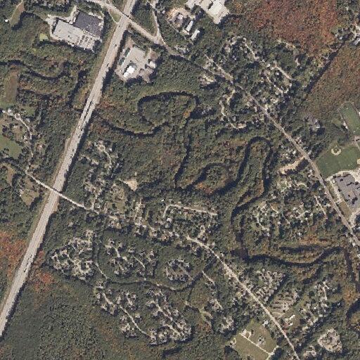 74-year-old female with leg and neck pain at residence