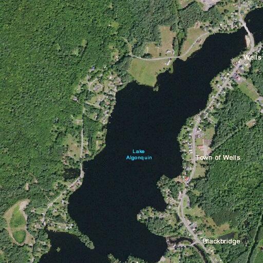 Elderly female with possible cardiac issues in Wells