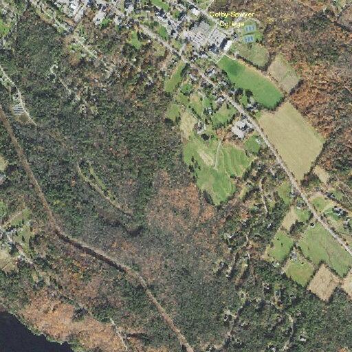 Person feeling faint near Ridgeview Road
