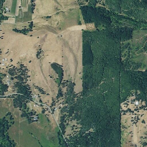 Report of illegal burn with two burn piles
