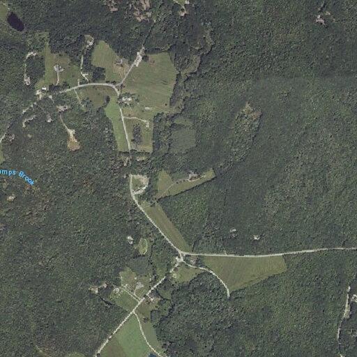 Erratic gray Nissan Altima on Goose Rocks Road