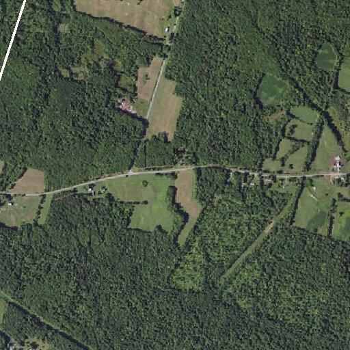 64-year-old male with blood in urine in Westdale