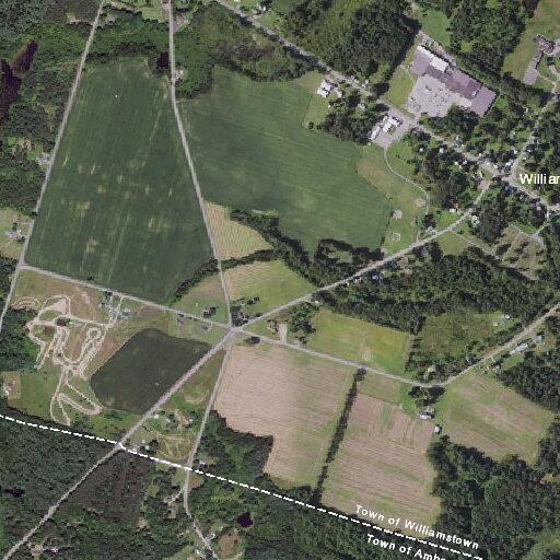 75-year-old male suffers head injury after fall