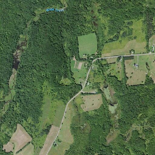 Driver hits deer on East Ava Road, no treatment