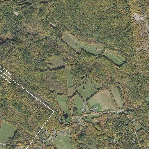 Group cutting trees on private property