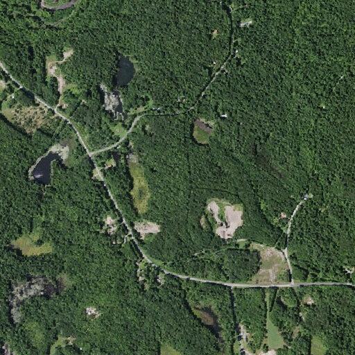 Man injured in fall from tree with breathing issues