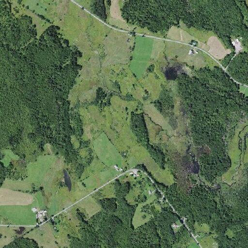 Man dizzy and nauseous near Mud Lake Road