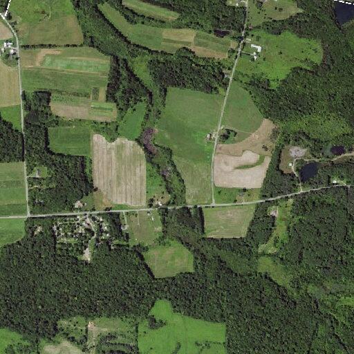 Child reported having possible seizure on a bus in Oswego County, NY