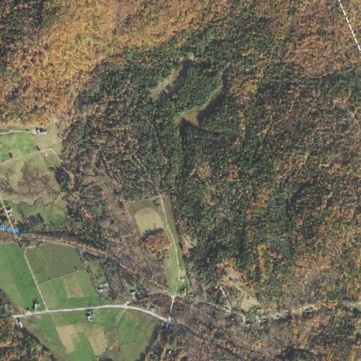 55-year-old male falls and suffers serious head bleed