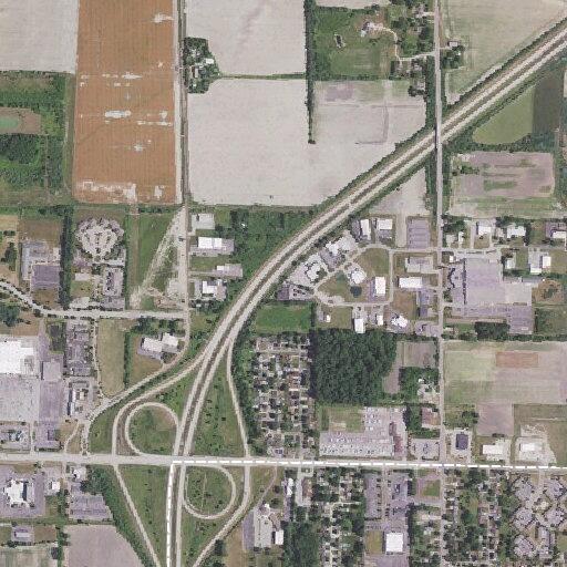 Person bitten by dog near Cherokee Road in Saginaw