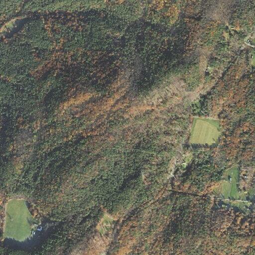 School notified of Dingleton Hill Road closure