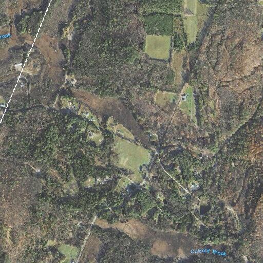 Woman with altered mental status and shaking reported in Springfield