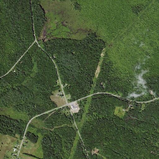 Car hits deer on County Route 22 in Albion