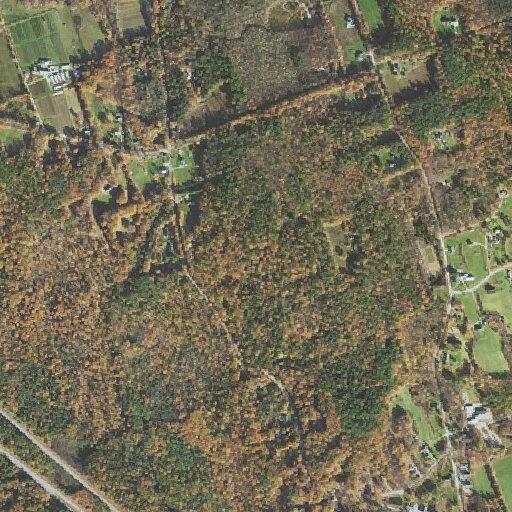 Tree blocking lane on Sanborn Road in Sanbornton