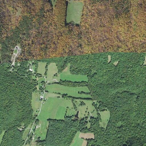 89-year-old woman with foot pain after fall in Poultney