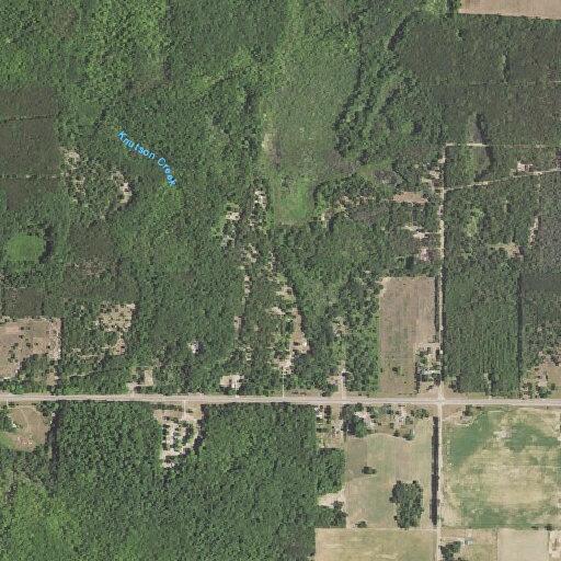 Woman with chest pain and dizziness in Newfield Township