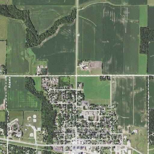 95-year-old man fell and felt dizzy in Adams, MN