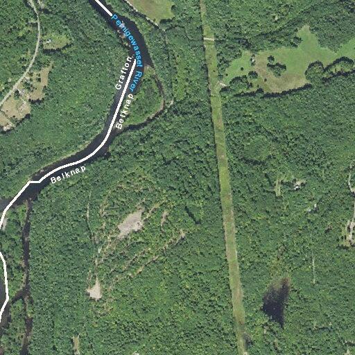 Report of illegal camper near Coolidge Woods Road