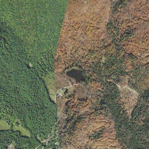 Unanswered 911 open line on Forbes Mountain Road