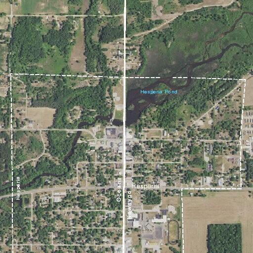 Downed power line reported on North Division