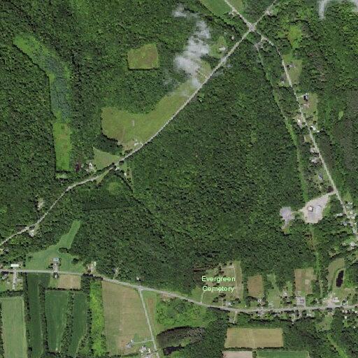 Elderly woman with fever and vomiting at County Route 2