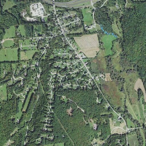 Internet line down across road on Skyline Drive