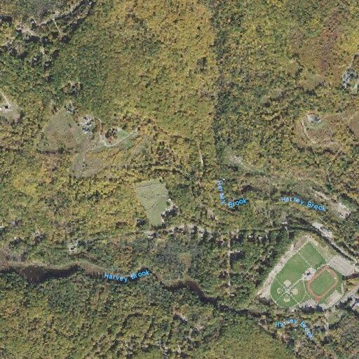 Elderly man with altered mental status at Wolfeboro adress