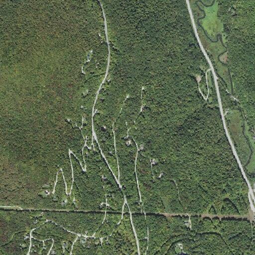 Elderly woman fallen in hallway near Mountain Road in Killington