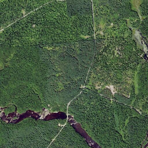 Water rescue operation near Fowlerville Road and Moose River